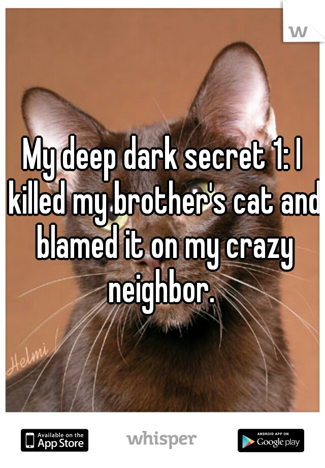 My deep dark secret 1: I killed my brother's cat and blamed it on my crazy neighbor. 