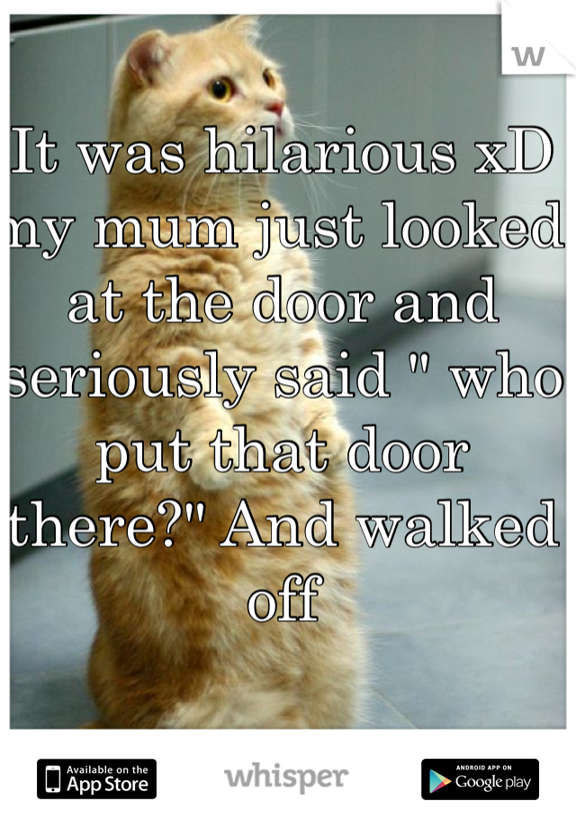 It was hilarious xD my mum just looked at the door and seriously said " who put that door there?" And walked off 