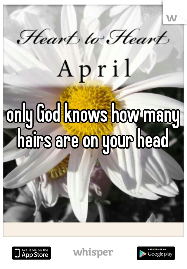 only God knows how many hairs are on your head 