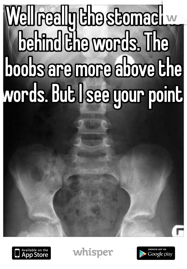 Well really the stomach is behind the words. The boobs are more above the words. But I see your point. 