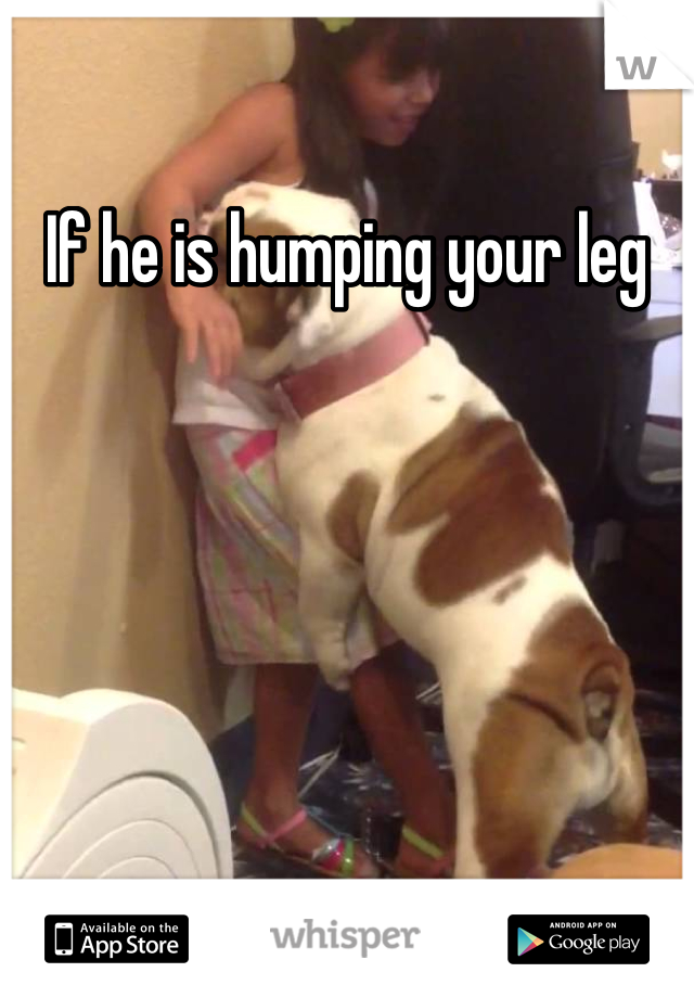 If he is humping your leg