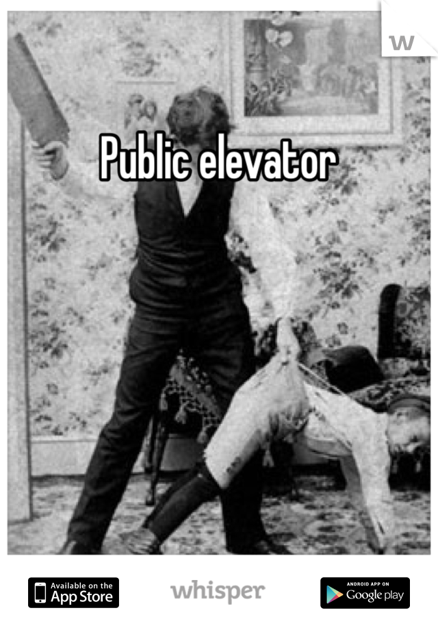 Public elevator 