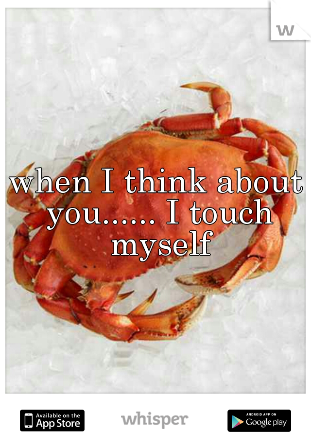 when I think about you...... I touch myself