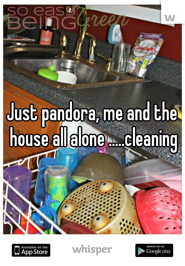 Just pandora, me and the house all alone .....cleaning
