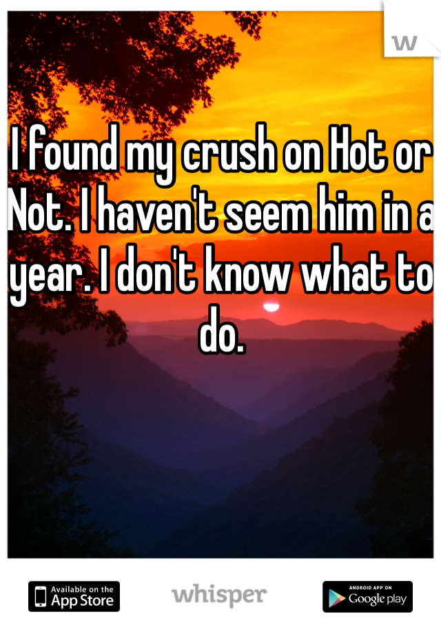 I found my crush on Hot or Not. I haven't seem him in a year. I don't know what to do. 