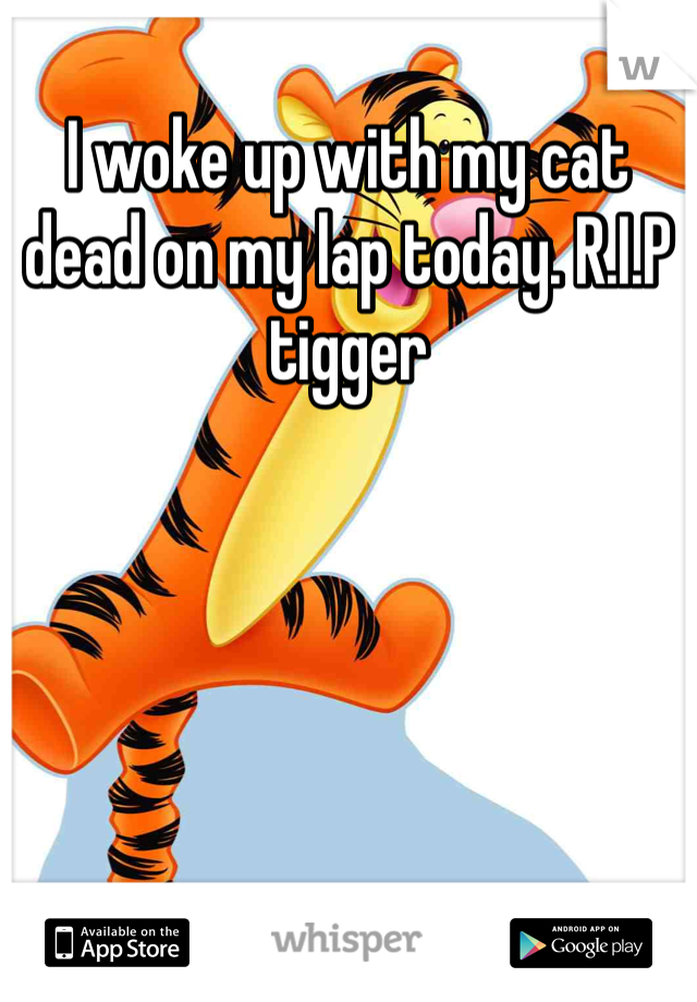 I woke up with my cat dead on my lap today. R.I.P tigger