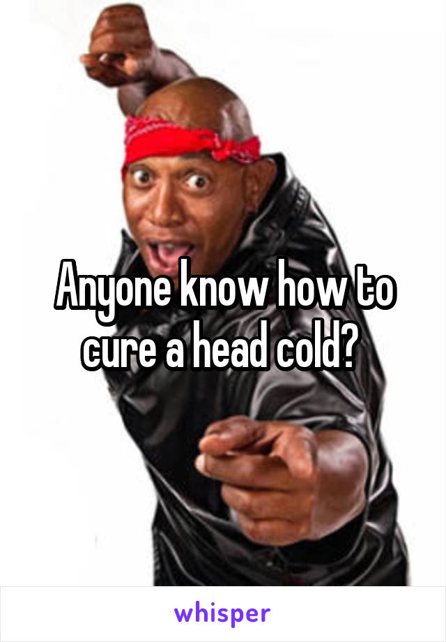 Anyone know how to cure a head cold? 