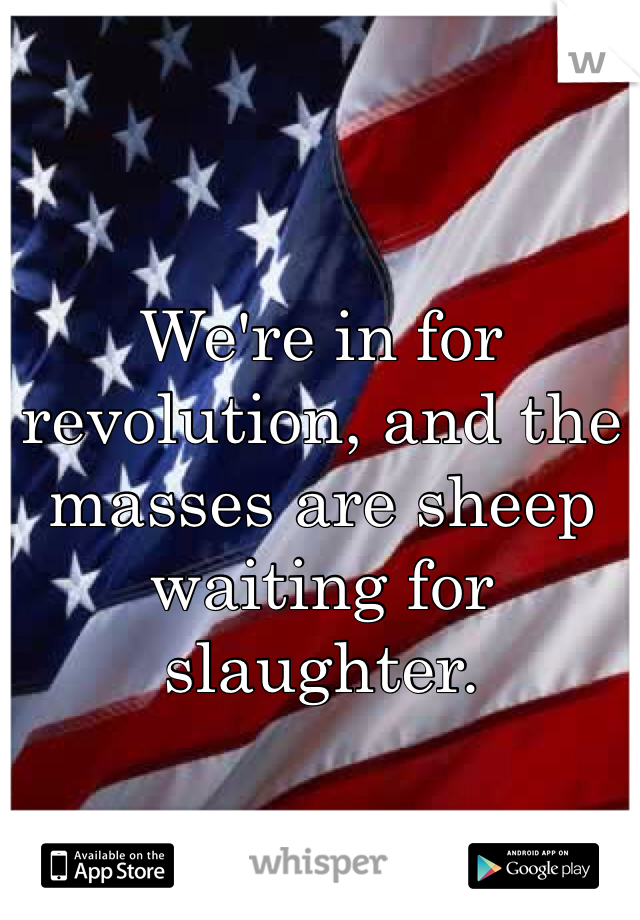 We're in for revolution, and the masses are sheep waiting for slaughter.