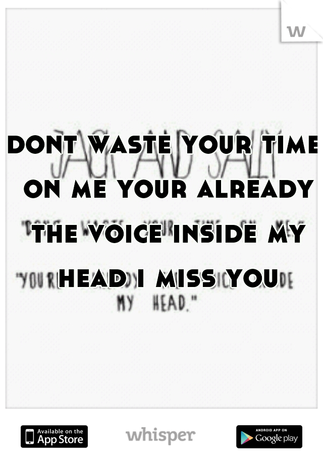 dont waste your time on me your already the voice inside my head i miss you