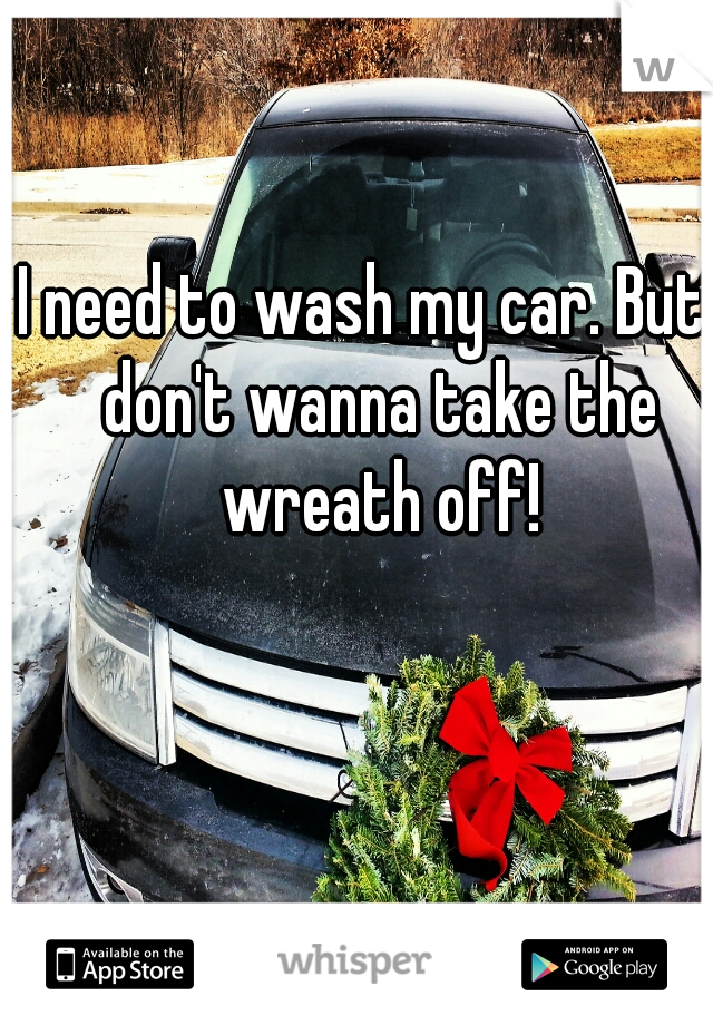 I need to wash my car. But I don't wanna take the wreath off!