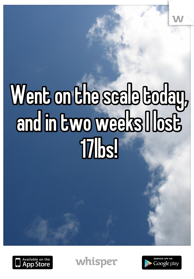 Went on the scale today, and in two weeks I lost 17lbs!