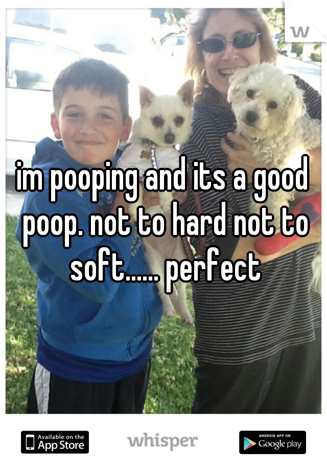 im pooping and its a good poop. not to hard not to soft...... perfect