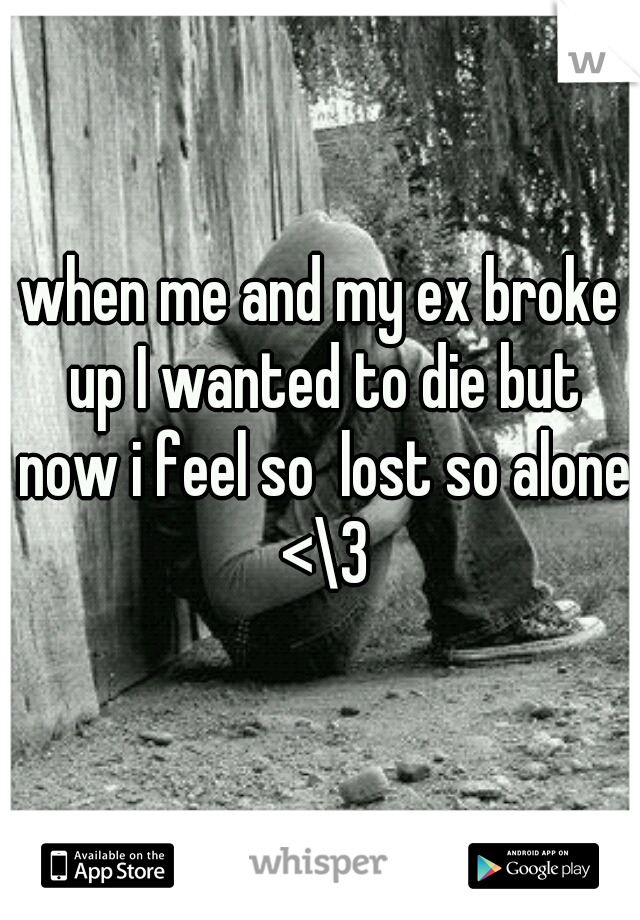 when me and my ex broke up I wanted to die but now i feel so  lost so alone <\3