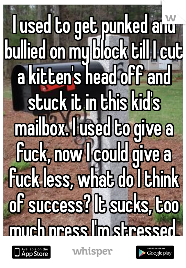 I used to get punked and bullied on my block till I cut a kitten's head off and stuck it in this kid's mailbox. I used to give a fuck, now I could give a fuck less, what do I think of success? It sucks, too much press I'm stressed.