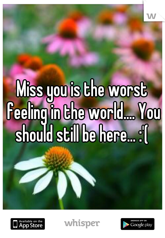 Miss you is the worst feeling in the world.... You should still be here... :'( 