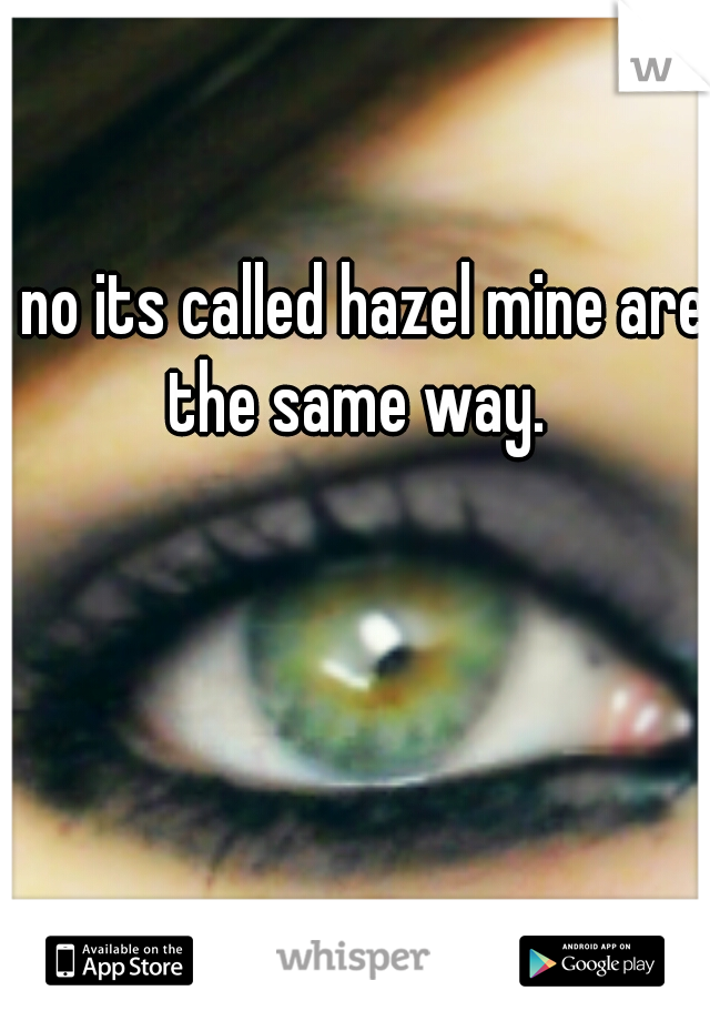 no its called hazel mine are the same way.  