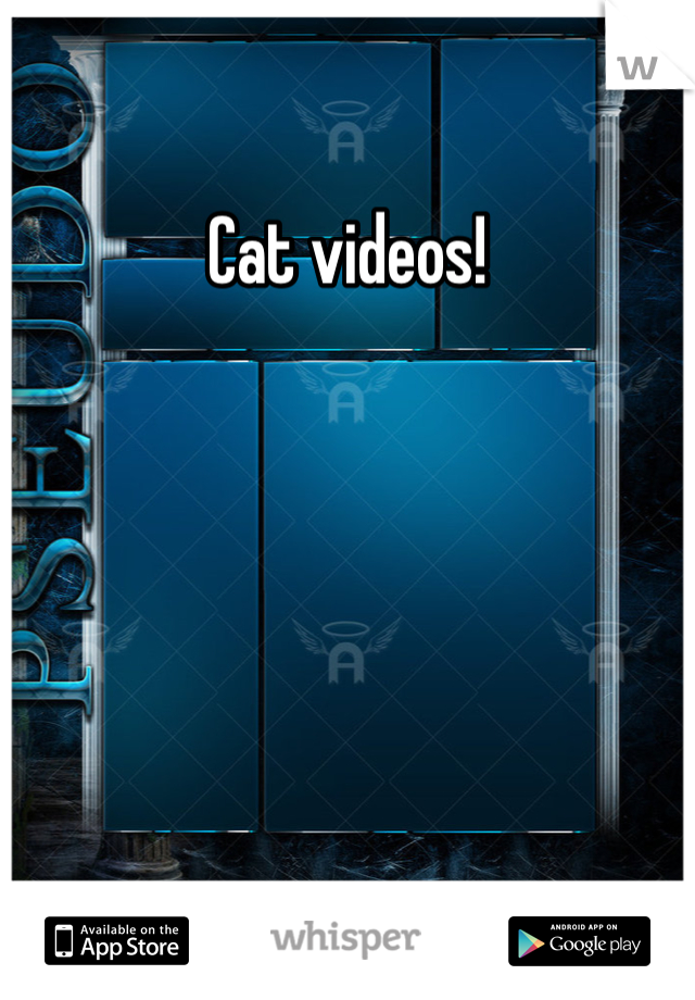 Cat videos!