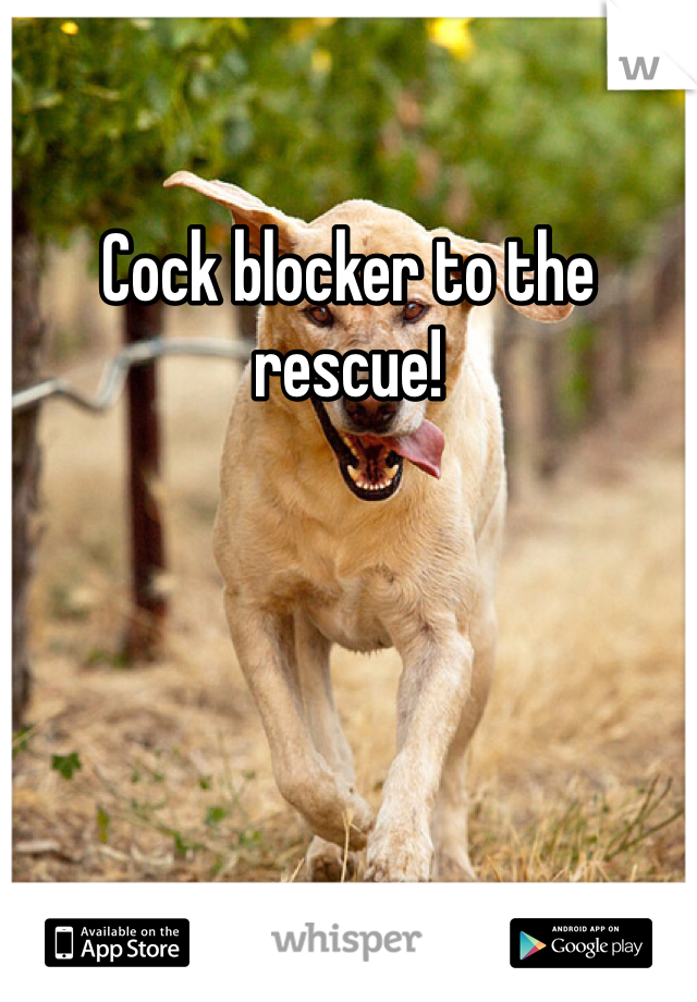 Cock blocker to the rescue!