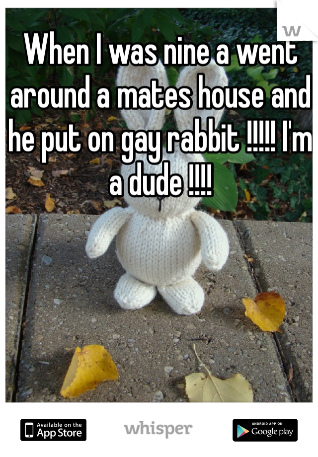 When I was nine a went around a mates house and he put on gay rabbit !!!!! I'm a dude !!!! 