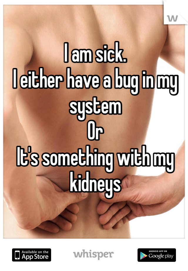 I am sick. 
I either have a bug in my system
Or
It's something with my kidneys
