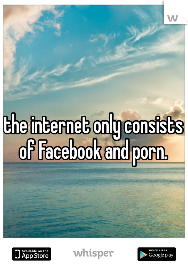 the internet only consists of Facebook and porn.