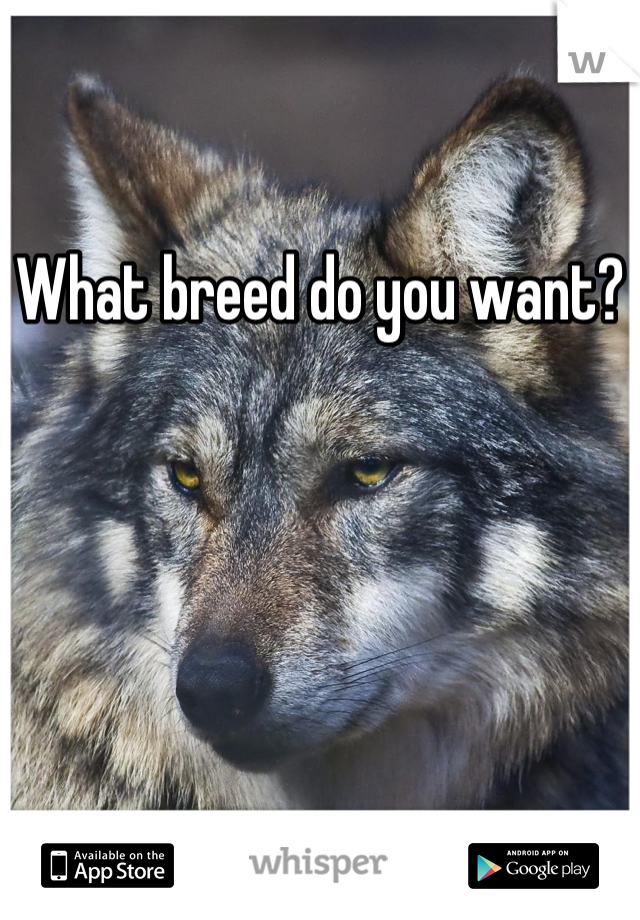 What breed do you want?