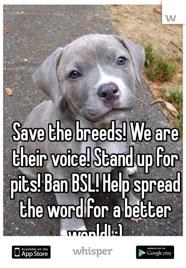 Save the breeds! We are their voice! Stand up for pits! Ban BSL! Help spread the word for a better world! :) 
