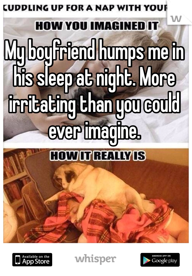 My boyfriend humps me in his sleep at night. More irritating than you could ever imagine. 