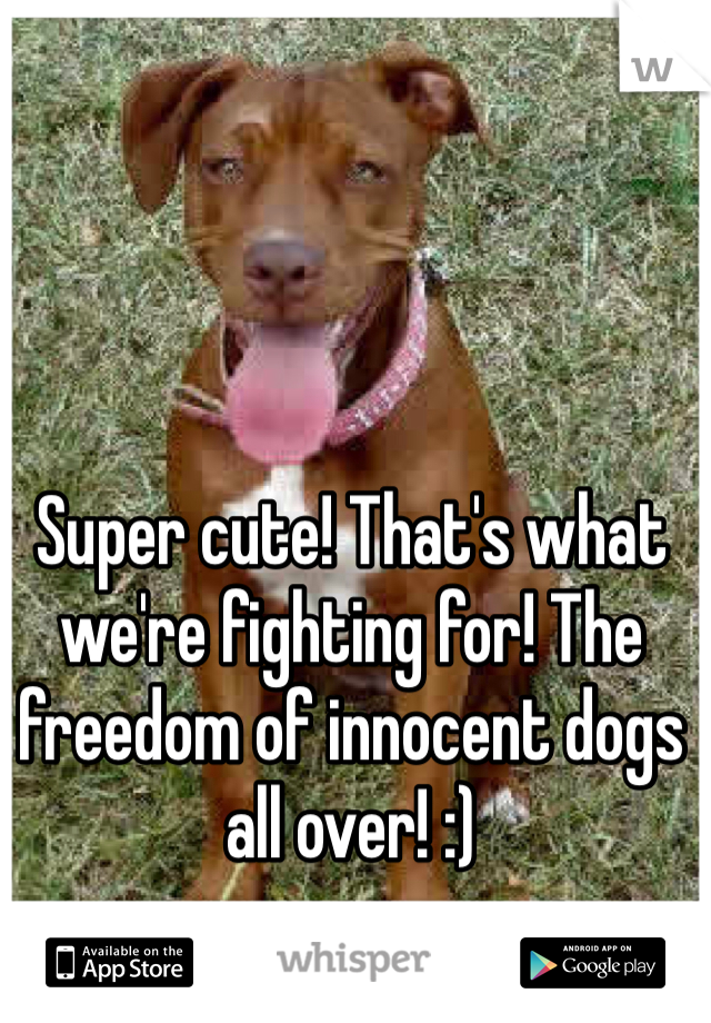 Super cute! That's what we're fighting for! The freedom of innocent dogs all over! :) 