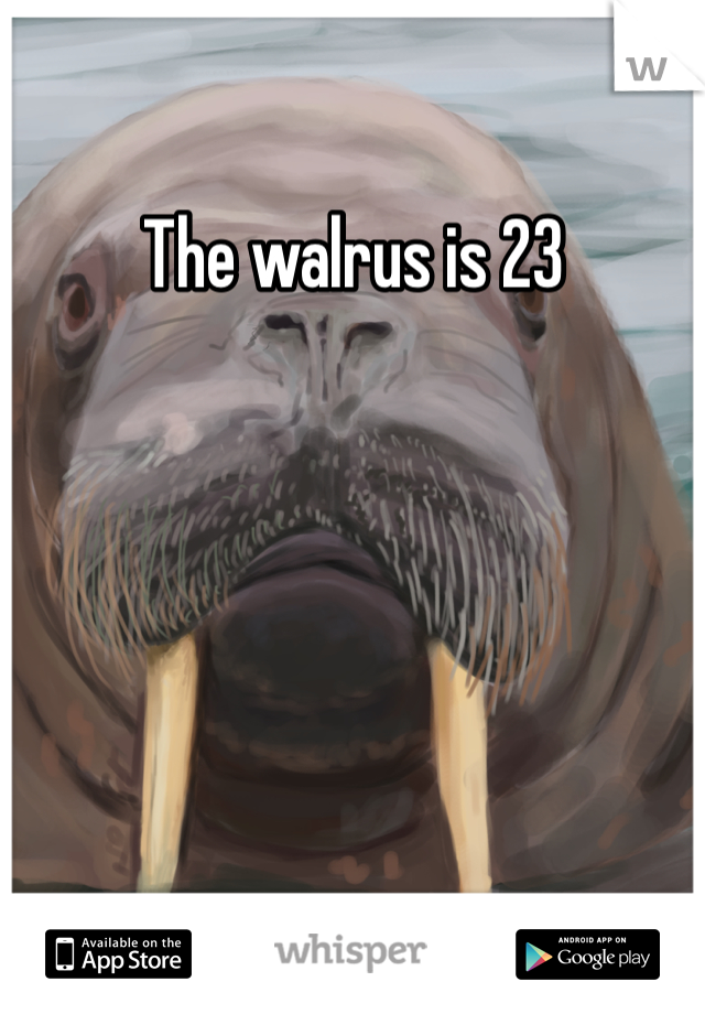 The walrus is 23