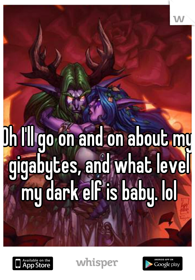 Oh I'll go on and on about my gigabytes, and what level my dark elf is baby. lol