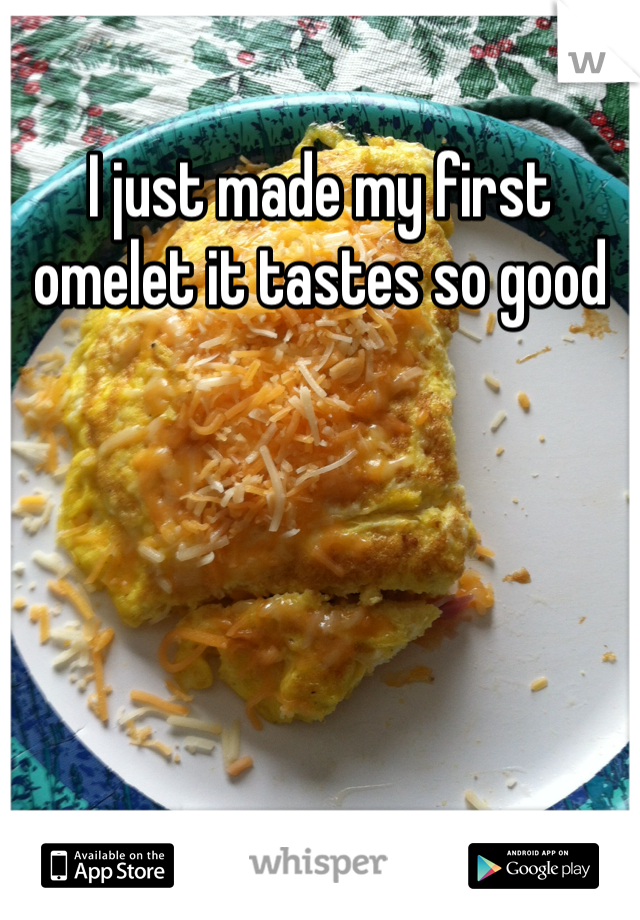 I just made my first omelet it tastes so good