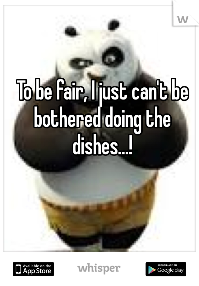 To be fair, I just can't be bothered doing the dishes...!