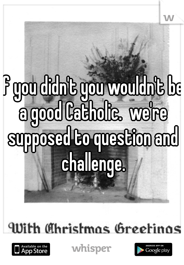 if you didn't you wouldn't be a good Catholic.  we're supposed to question and challenge.