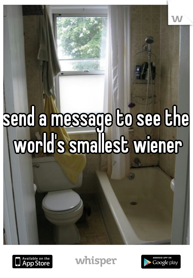 send a message to see the world's smallest wiener