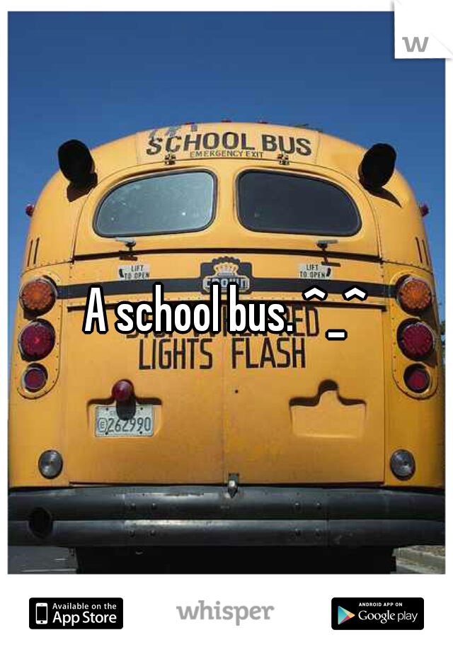 A school bus. ^_^