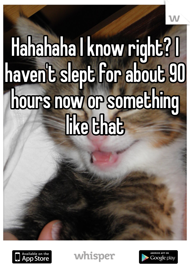 Hahahaha I know right? I haven't slept for about 90 hours now or something like that