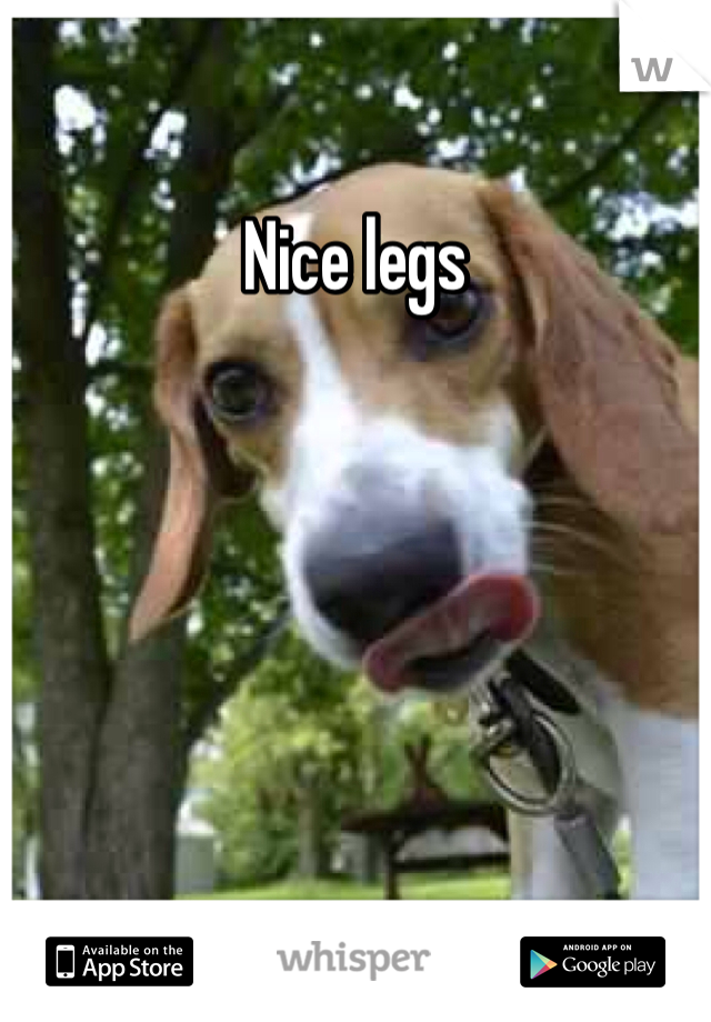 Nice legs