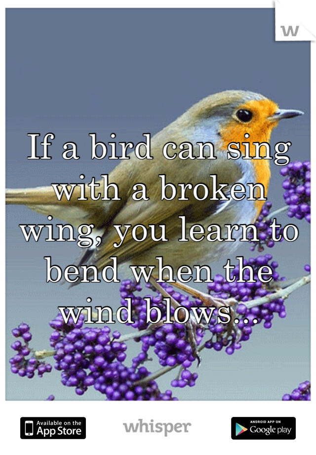 


If a bird can sing with a broken wing, you learn to bend when the wind blows...