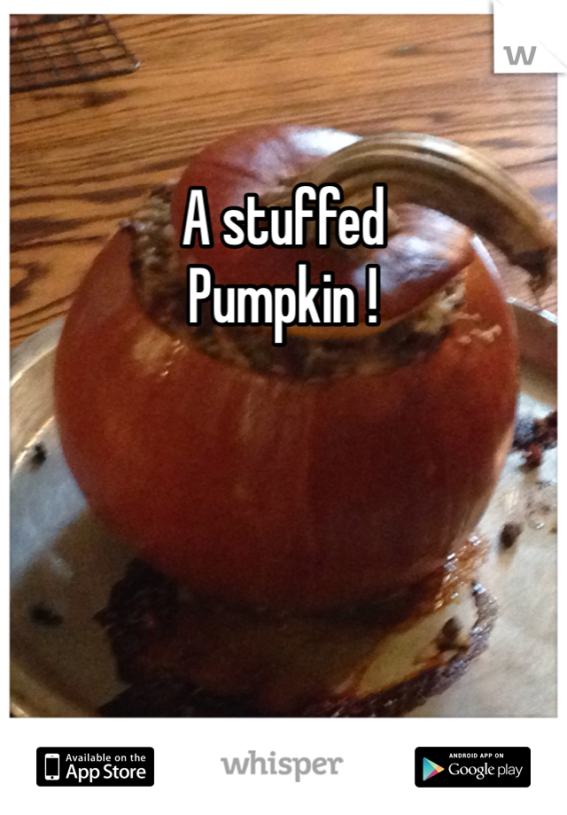 A stuffed 
Pumpkin !