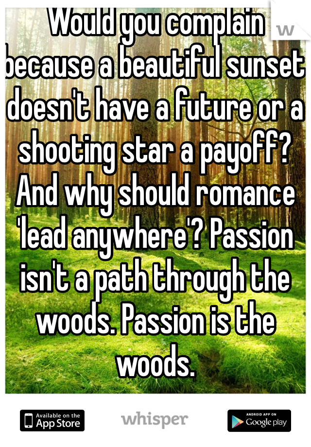 Would you complain because a beautiful sunset doesn't have a future or a shooting star a payoff? And why should romance 'lead anywhere'? Passion isn't a path through the woods. Passion is the woods.