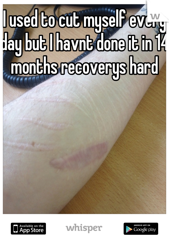 I used to cut myself every day but I havnt done it in 14 months recoverys hard 