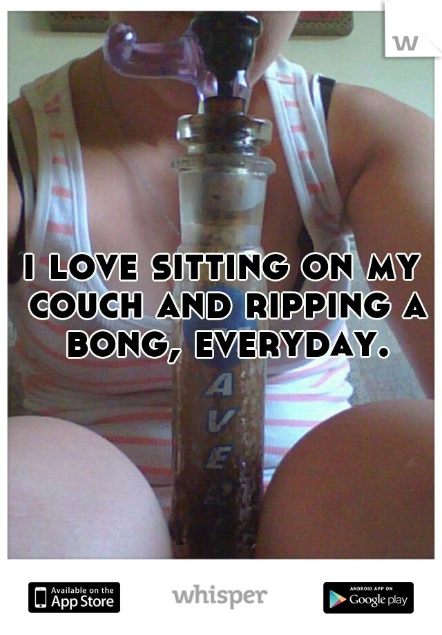 i love sitting on my couch and ripping a bong, everyday.