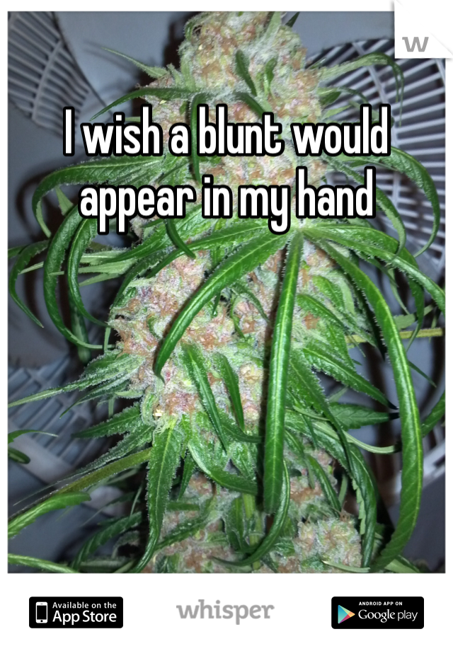I wish a blunt would appear in my hand