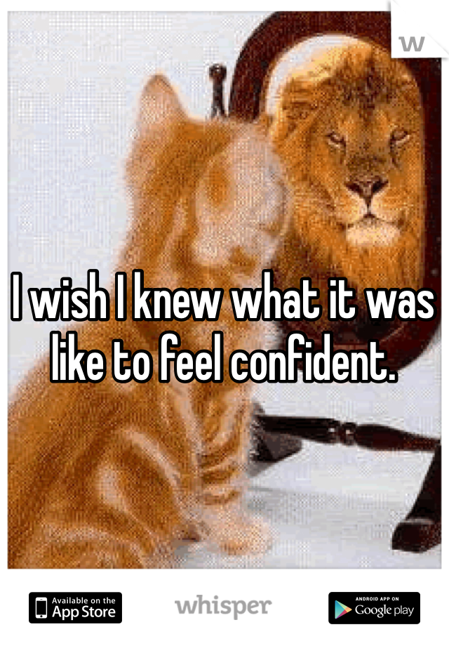 I wish I knew what it was like to feel confident. 