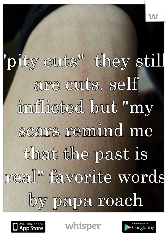 "pity cuts"  they still are cuts. self inflicted but "my scars remind me that the past is real" favorite words by papa roach
