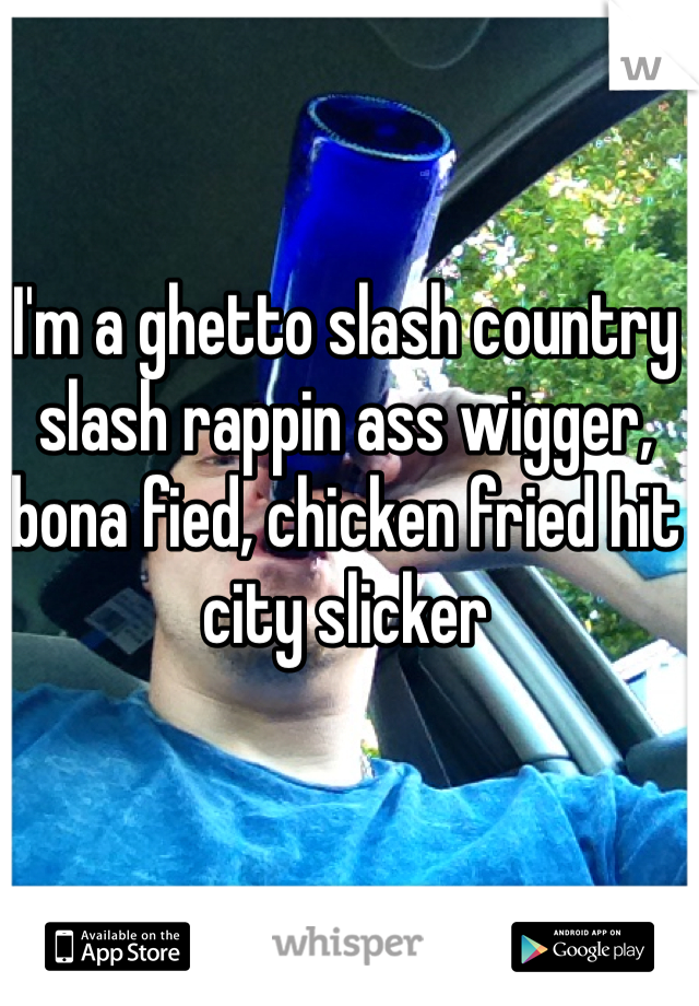 I'm a ghetto slash country slash rappin ass wigger, bona fied, chicken fried hit city slicker