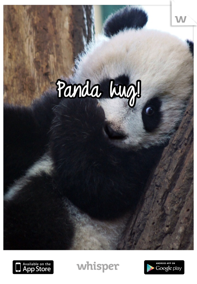 Panda hug! 