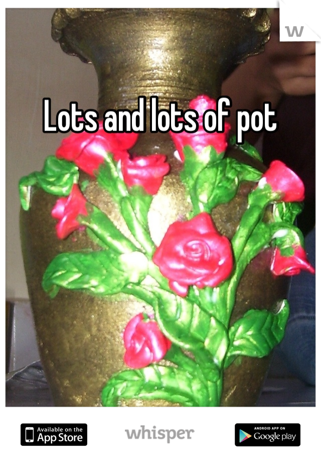Lots and lots of pot