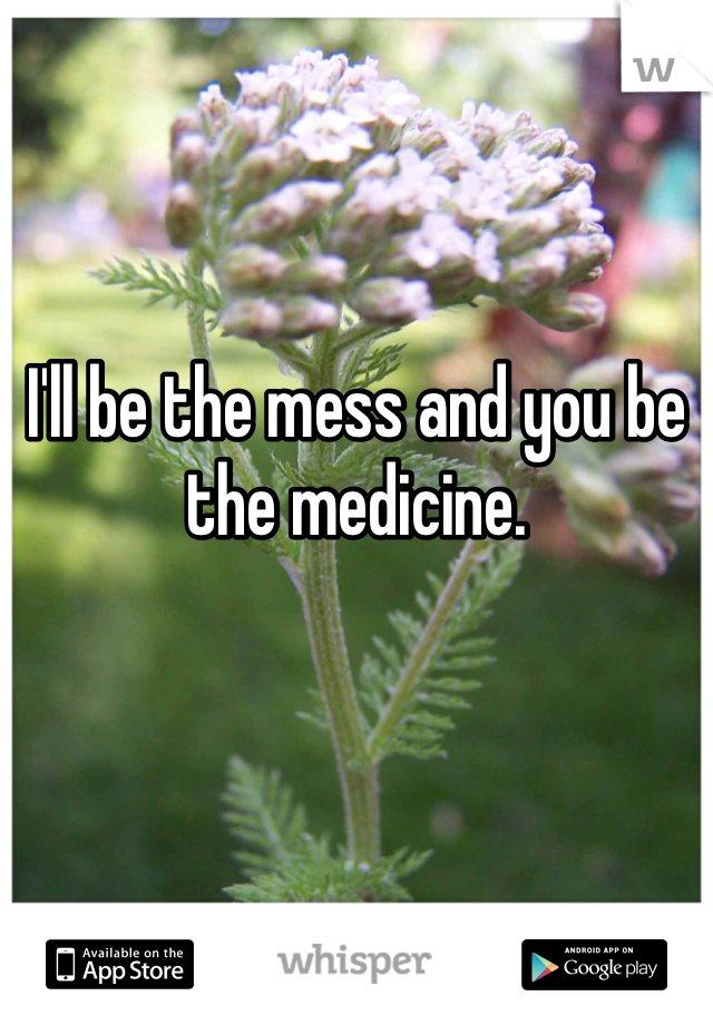 I'll be the mess and you be the medicine. 